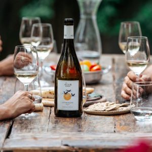 יקבים בהרי יהודה: מסע אל הטרנד שהפך למסורת