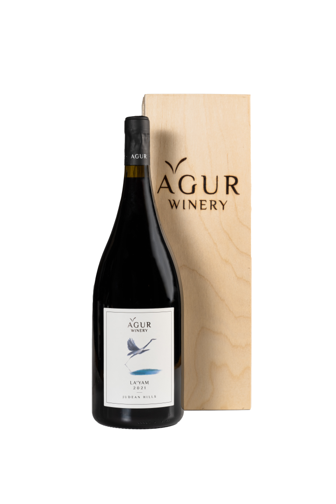 מגנום לים אדום 2021 - בלנד מבוסס סירה