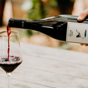 יקב במרכז: הרבה יותר מנקודה על המפה