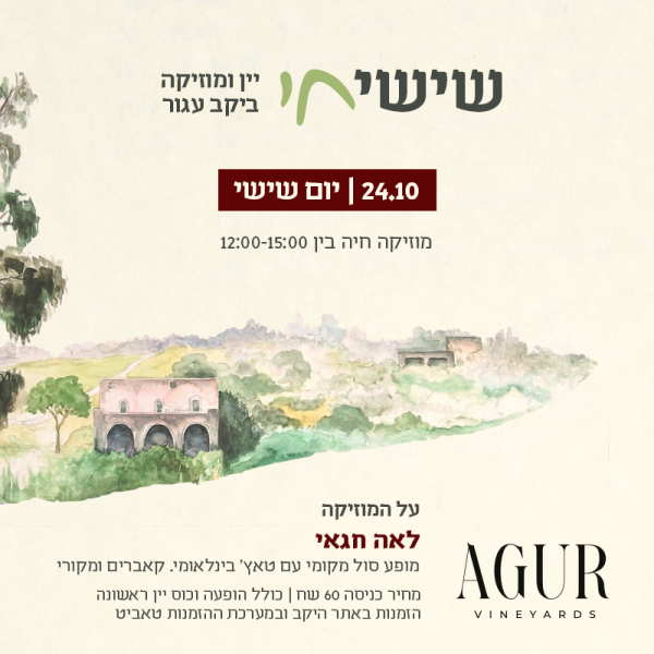 שישי חי 24/10
