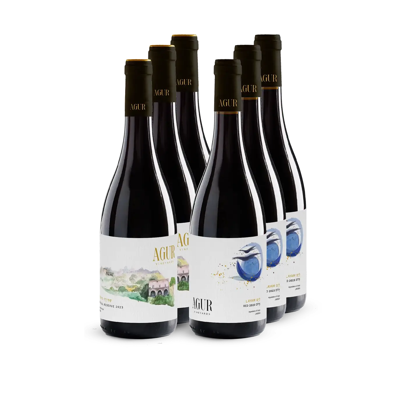 אדומים גבוהים