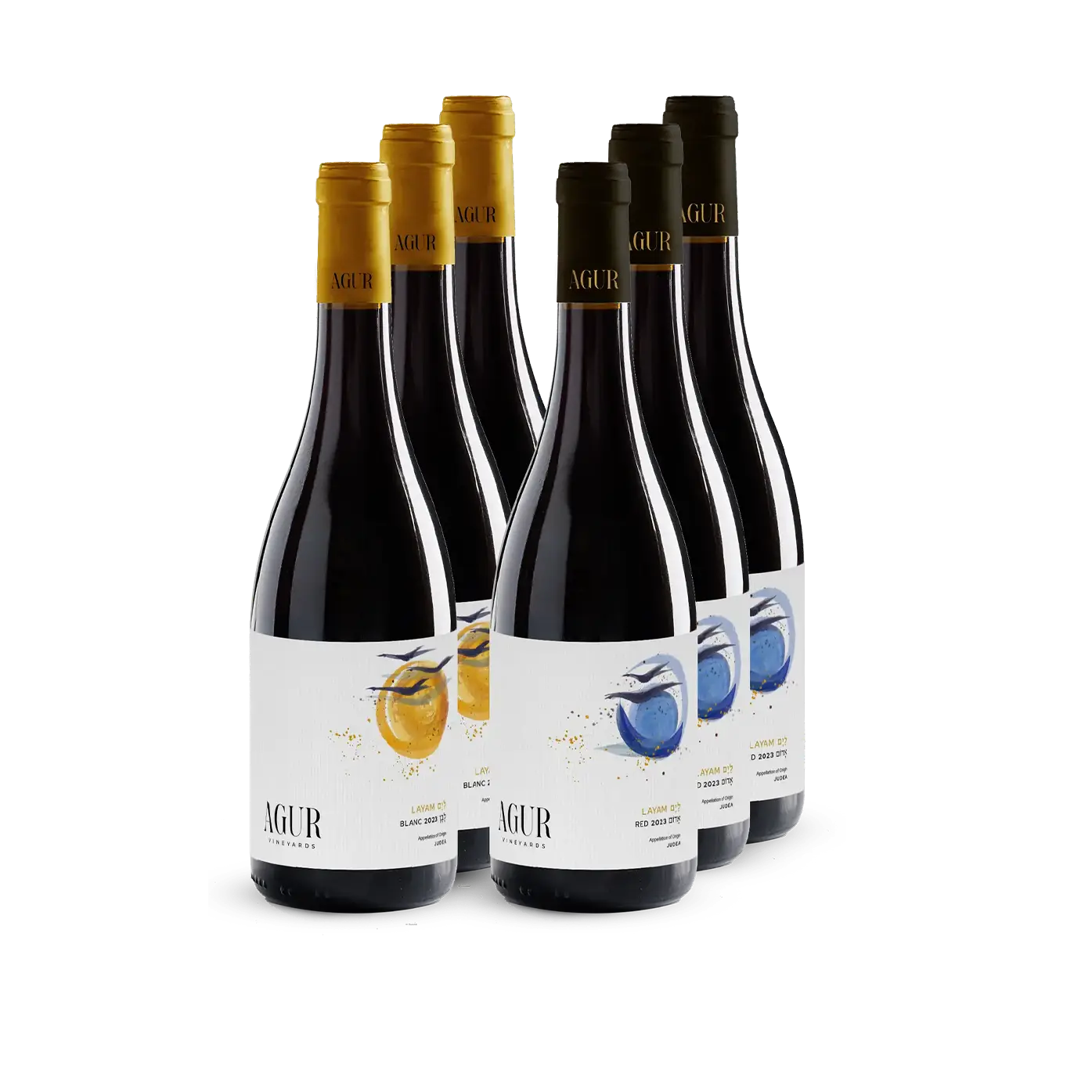 לים לבן לים אדום